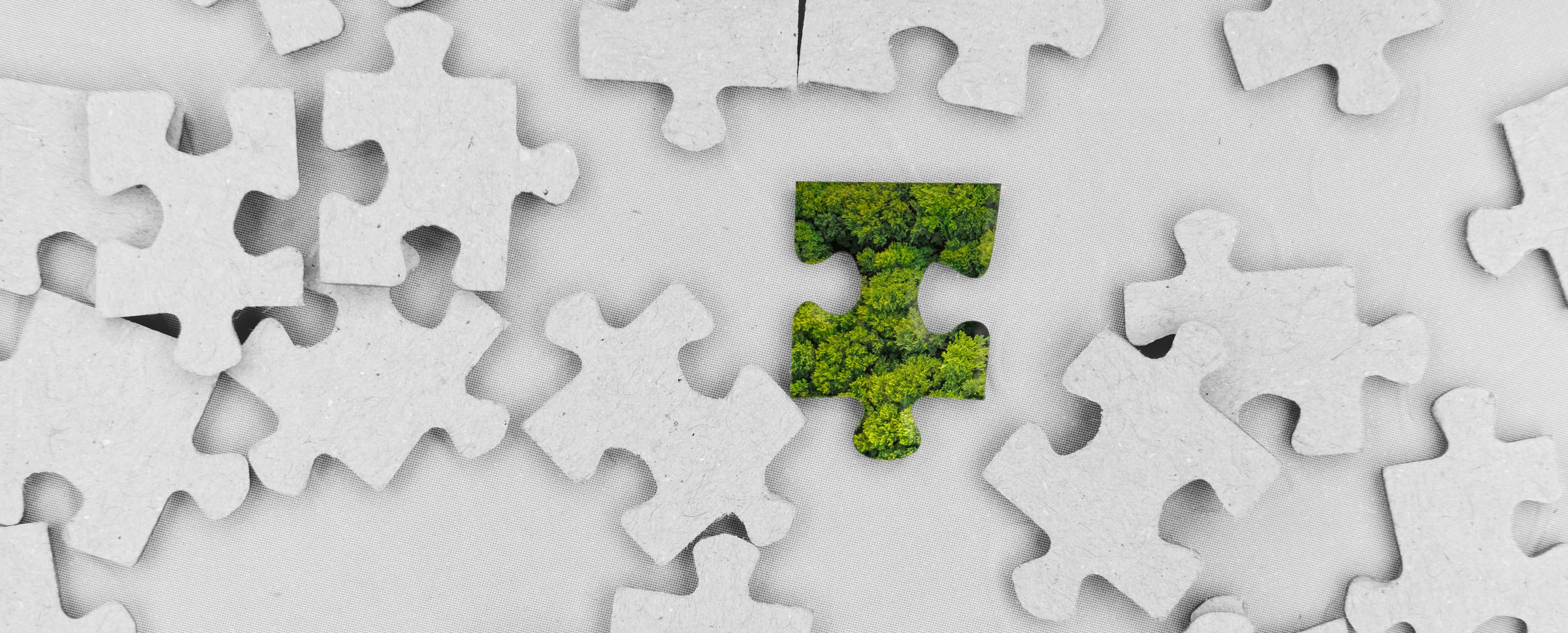Puzzle2 Puzzle2
